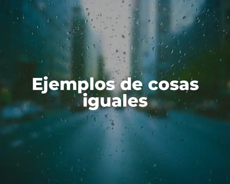 Ejemplos de cosas iguales