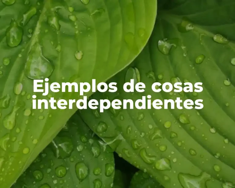 Ejemplos de cosas interdependientes