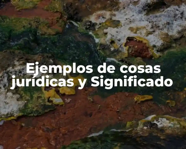 Ejemplos de cosas jurídicas y Significado
