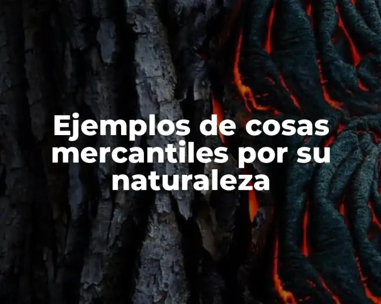 Ejemplos de cosas mercantiles por su naturaleza
