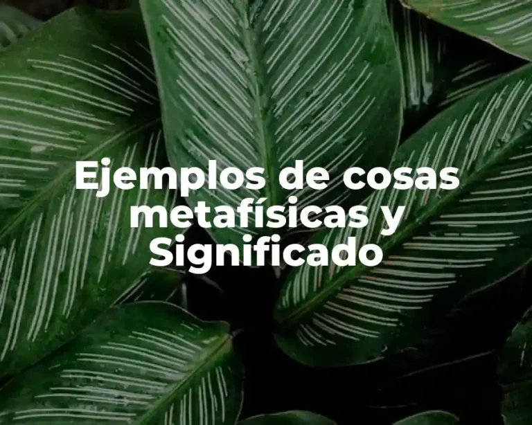 Ejemplos de cosas metafísicas y Significado