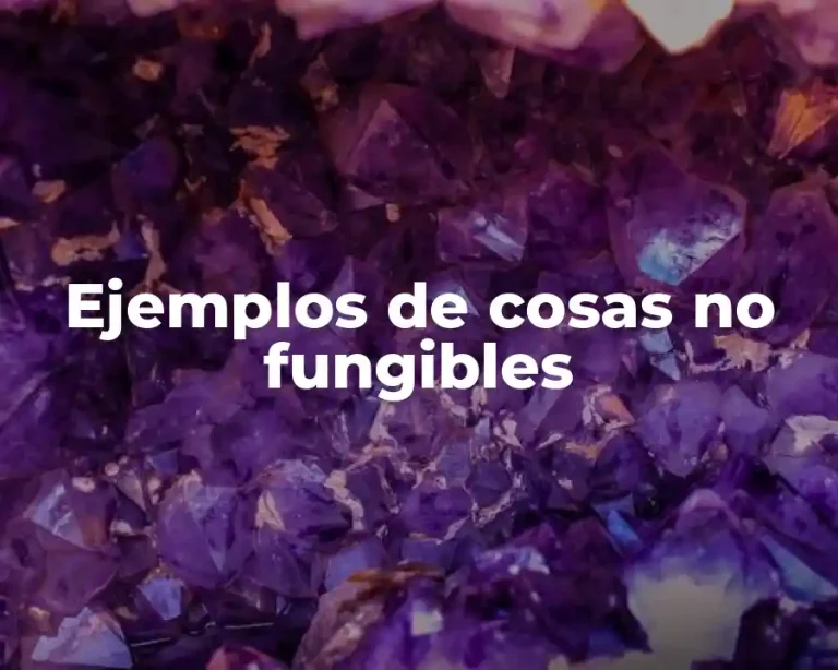 Ejemplos de cosas no fungibles
