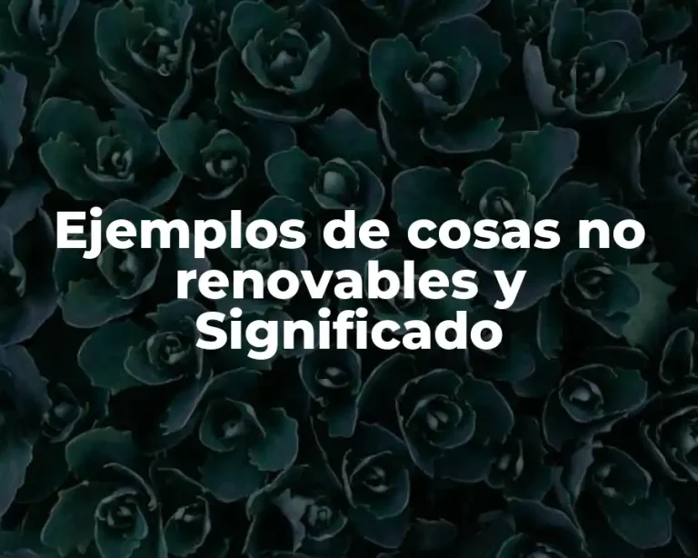 Ejemplos de cosas no renovables y Significado