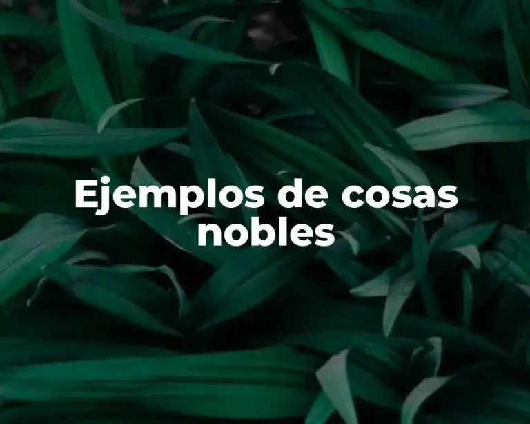 Ejemplos de cosas nobles