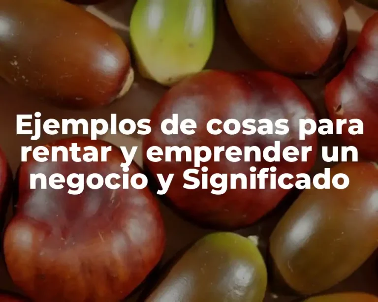 Ejemplos de cosas para rentar y emprender un negocio y Significado