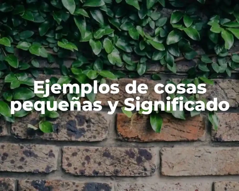 Ejemplos de cosas pequeñas y Significado