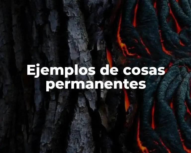 Ejemplos de cosas permanentes