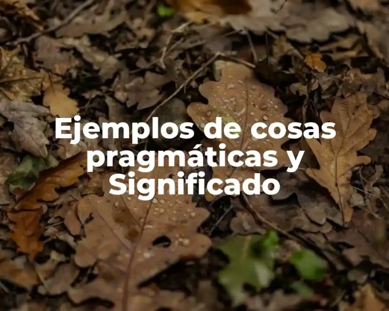 Ejemplos de cosas pragmáticas y Significado