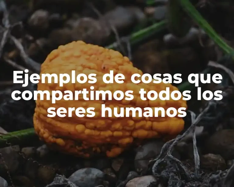 Ejemplos de cosas que compartimos todos los seres humanos