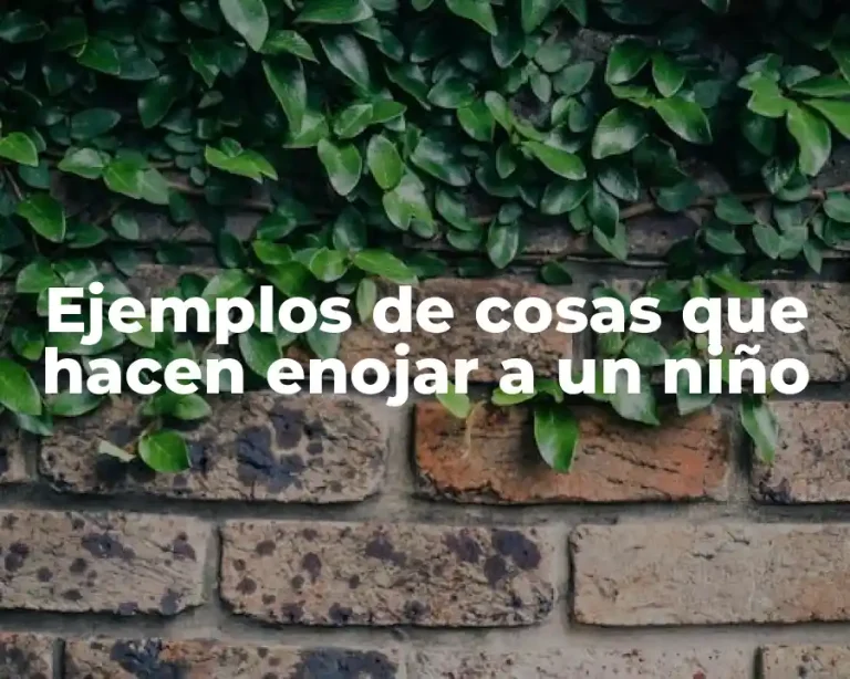 Ejemplos de cosas que hacen enojar a un niño