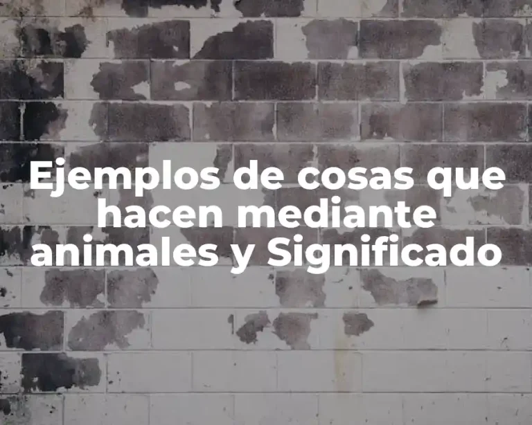 Ejemplos de cosas que hacen mediante animales y Significado
