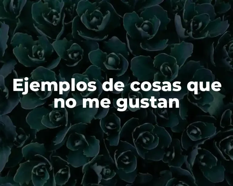 Ejemplos de cosas que no me gustan