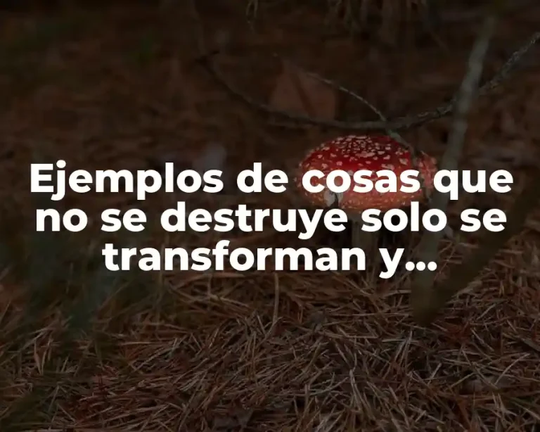 Ejemplos de cosas que no se destruye solo se transforman y Significado