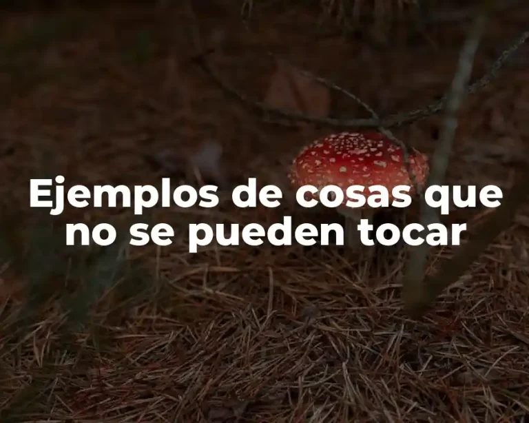 Ejemplos de cosas que no se pueden tocar