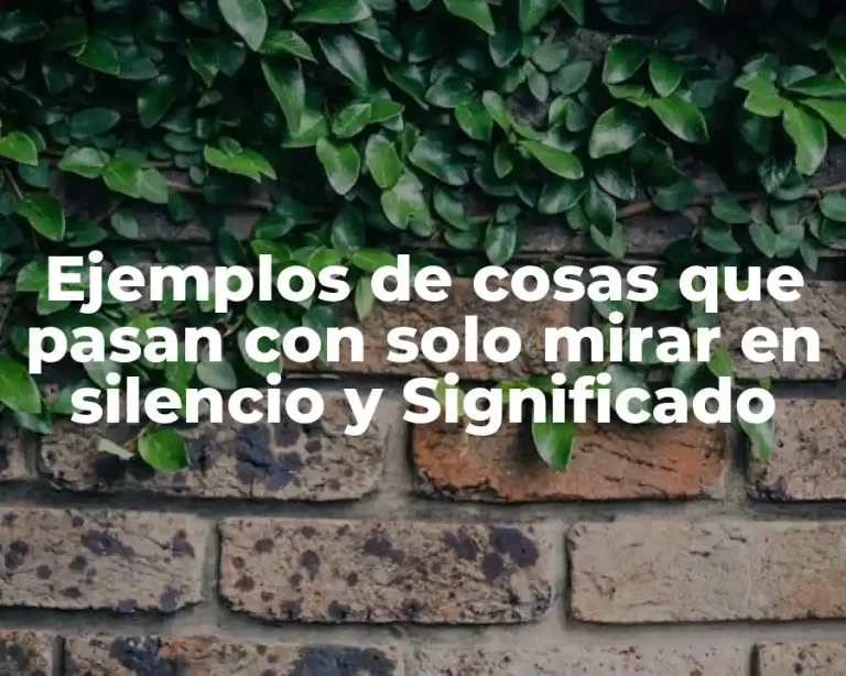 Ejemplos de cosas que pasan con solo mirar en silencio y Significado