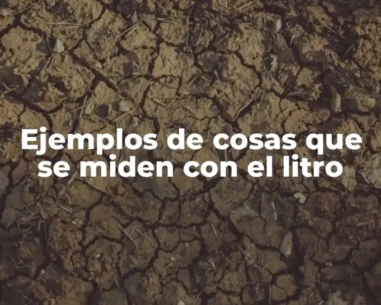 Ejemplos de cosas que se miden con el litro
