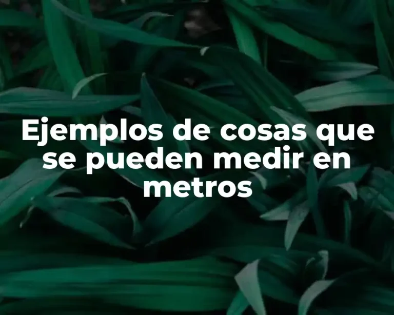 Ejemplos de cosas que se pueden medir en metros