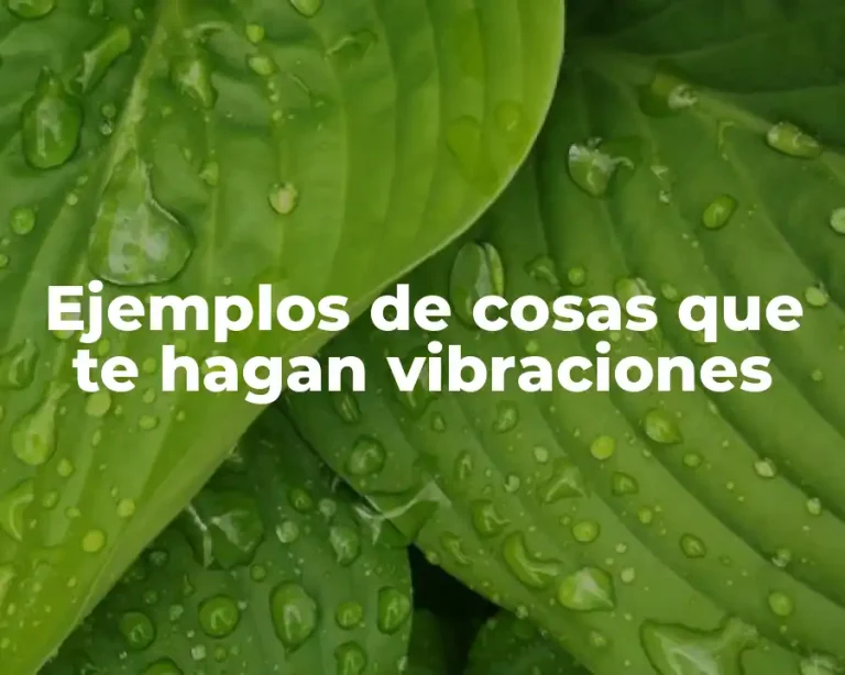 Ejemplos de cosas que te hagan vibraciones