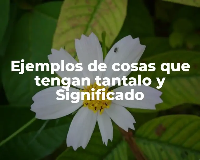 Ejemplos de cosas que tengan tantalo y Significado