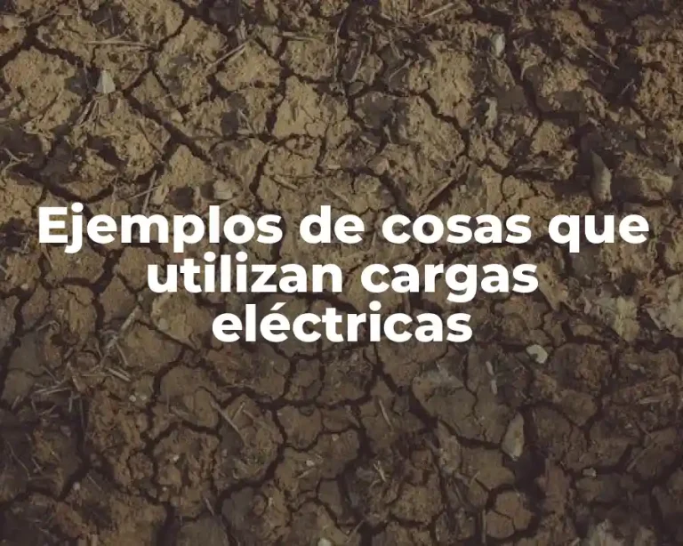 Ejemplos de cosas que utilizan cargas eléctricas