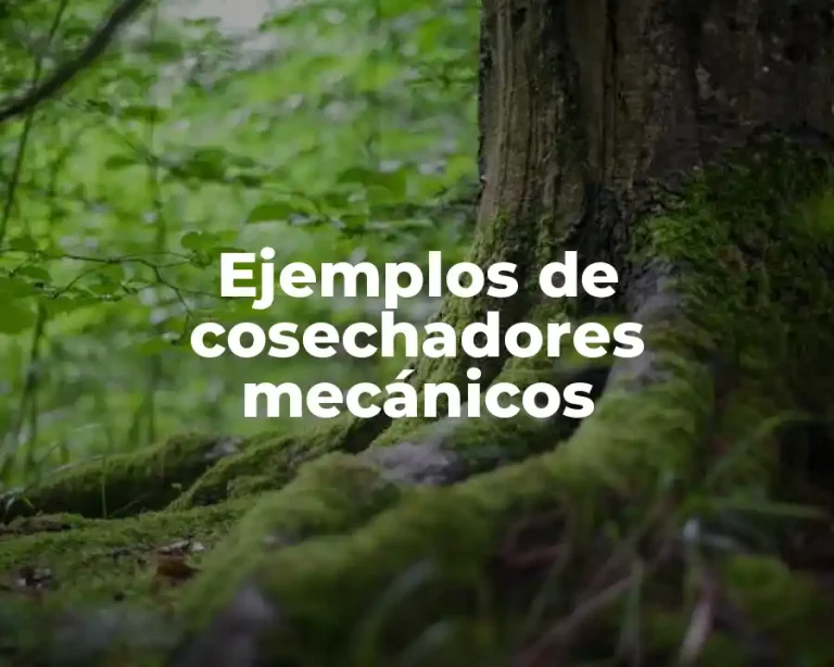 Ejemplos de cosechadores mecánicos
