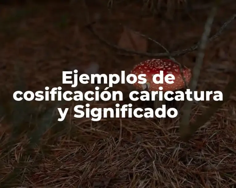 Ejemplos de cosificación caricatura y Significado