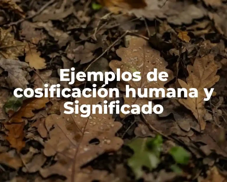 Ejemplos de cosificación humana y Significado