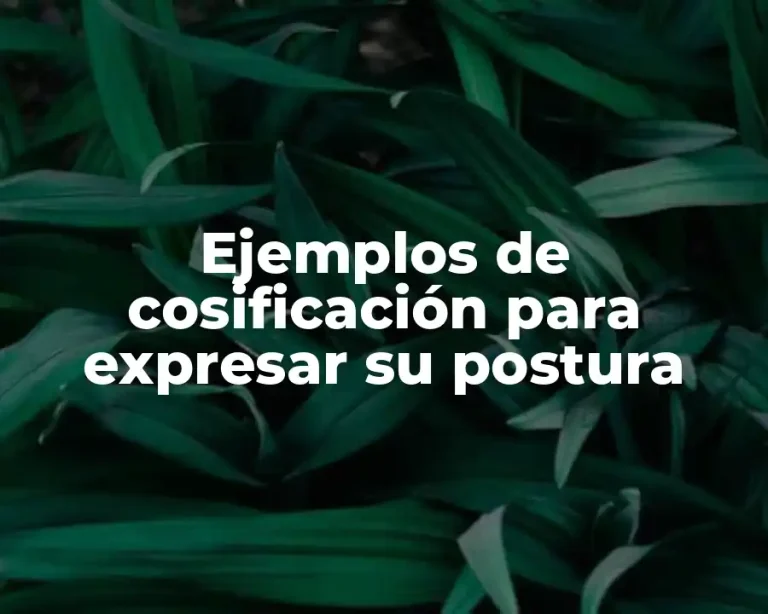 Ejemplos de cosificación para expresar su postura