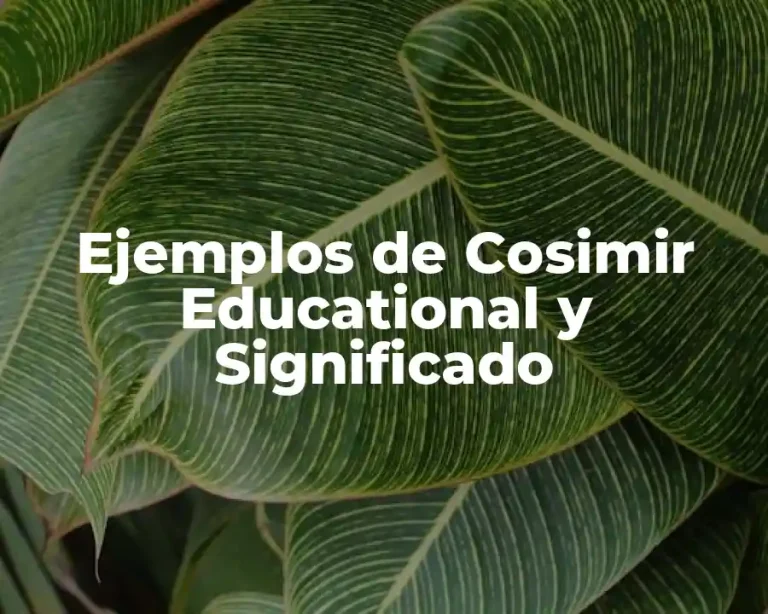 Ejemplos de Cosimir Educational y Significado