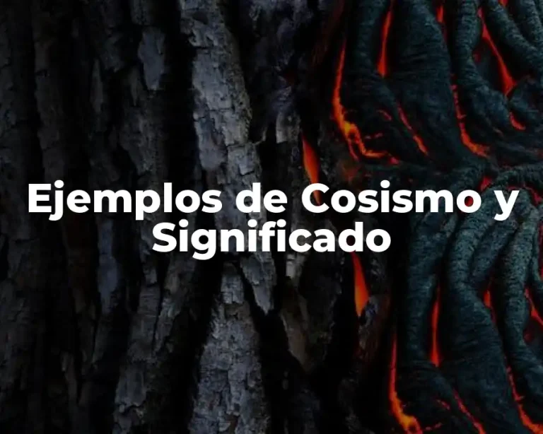 Ejemplos de Cosismo y Significado