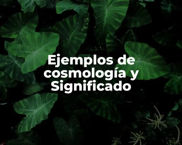 Ejemplos de cosmología y Significado