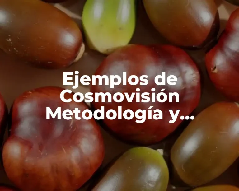 Ejemplos de Cosmovisión Metodología y Significado