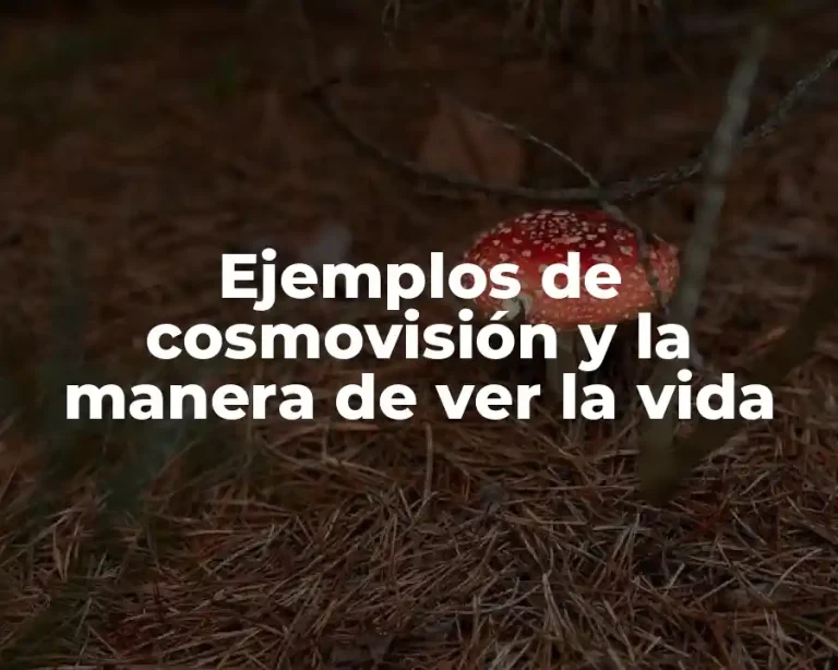 Ejemplos de cosmovisión y la manera de ver la vida