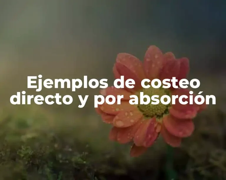 Ejemplos de costeo directo y por absorción