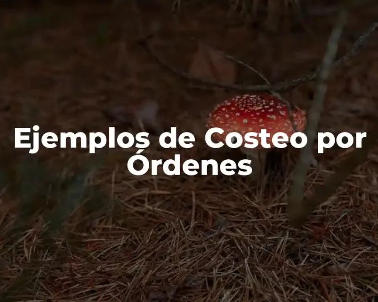 Ejemplos de Costeo por Órdenes