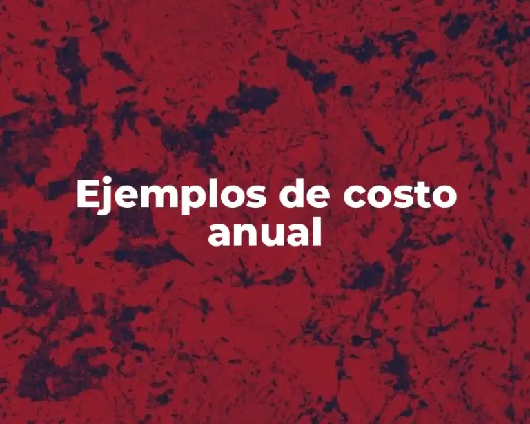 Ejemplos de costo anual