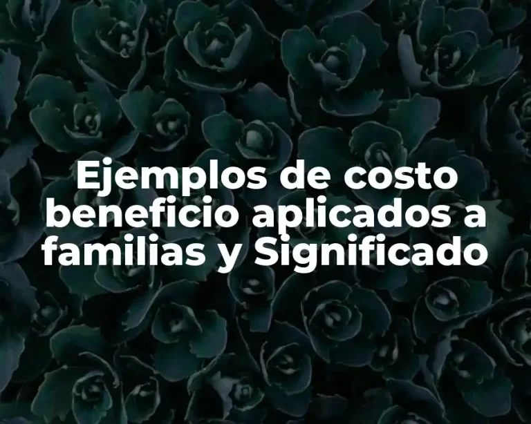 Ejemplos de costo beneficio aplicados a familias y Significado
