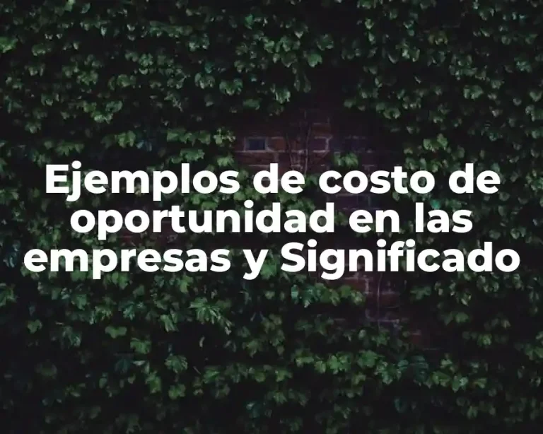 Ejemplos de costo de oportunidad en las empresas y Significado