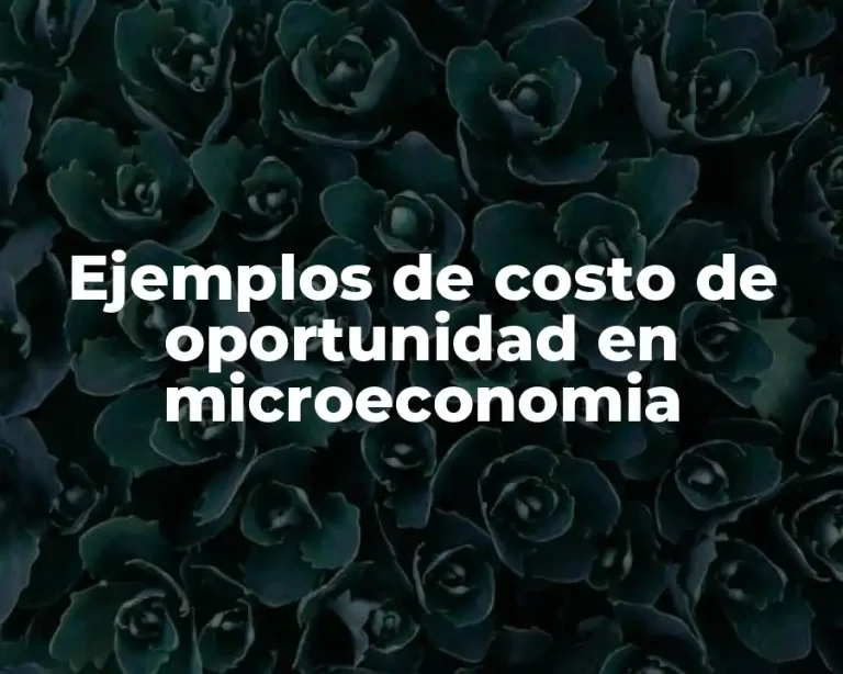 Ejemplos de costo de oportunidad en microeconomia