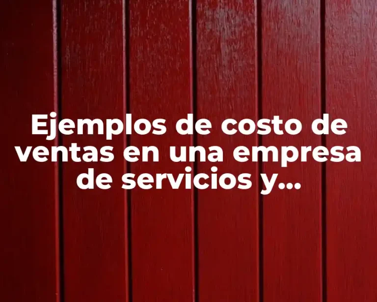Ejemplos de costo de ventas en una empresa de servicios y Significado