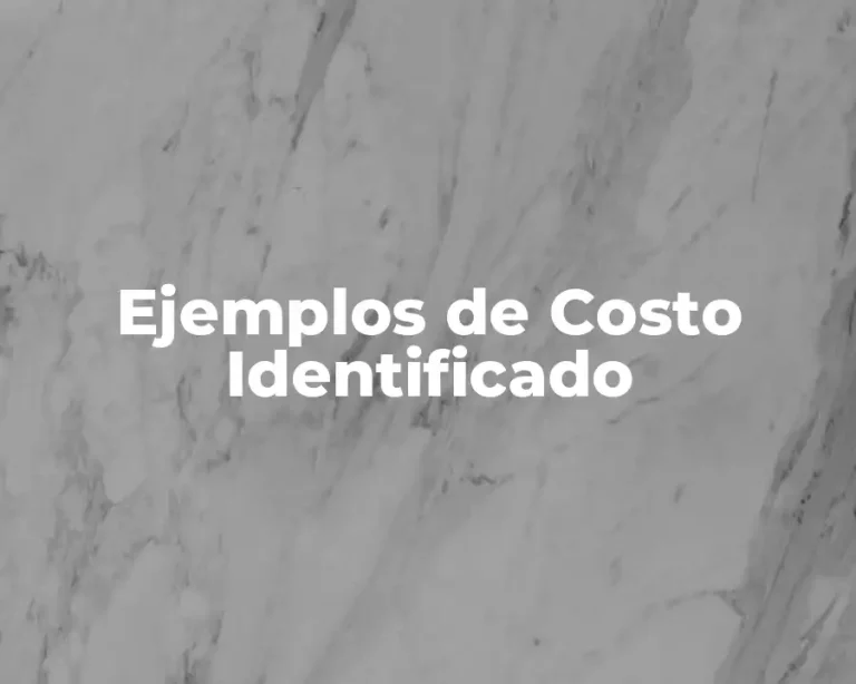 Ejemplos de Costo Identificado