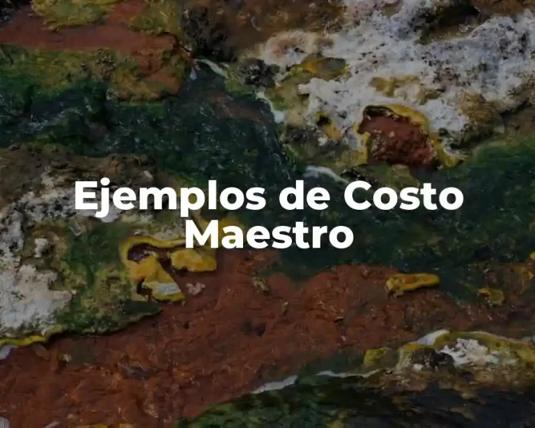 Ejemplos de Costo Maestro