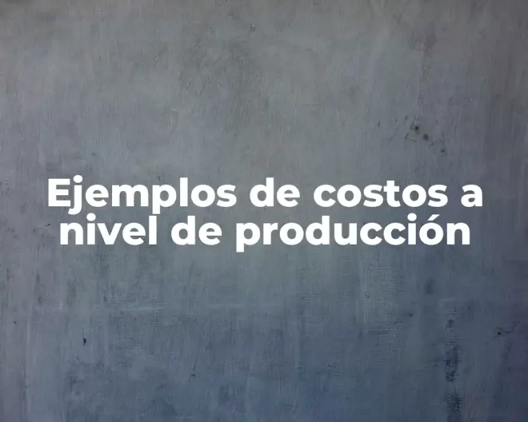 Ejemplos de costos a nivel de producción