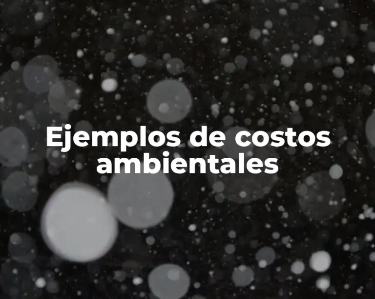 Ejemplos de costos ambientales