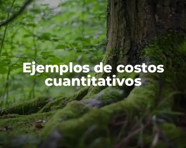 Ejemplos de costos cuantitativos