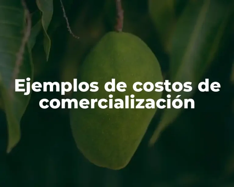 Ejemplos de costos de comercialización