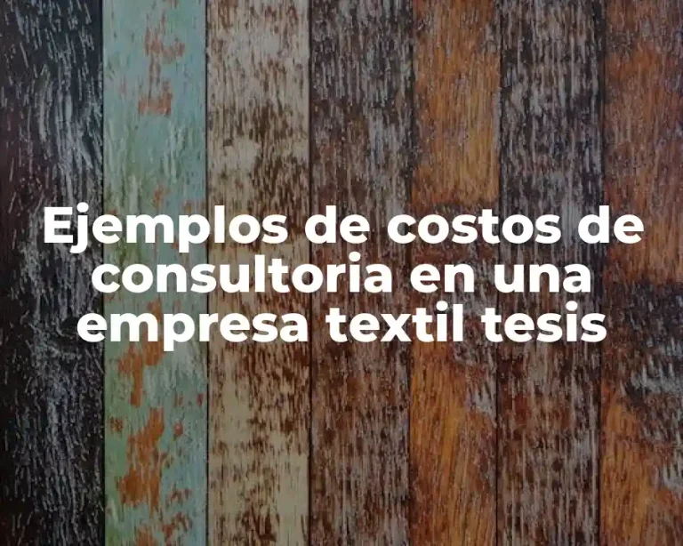 Ejemplos de costos de consultoria en una empresa textil tesis