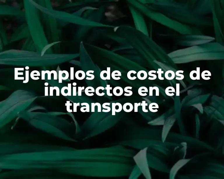 Ejemplos de costos de indirectos en el transporte