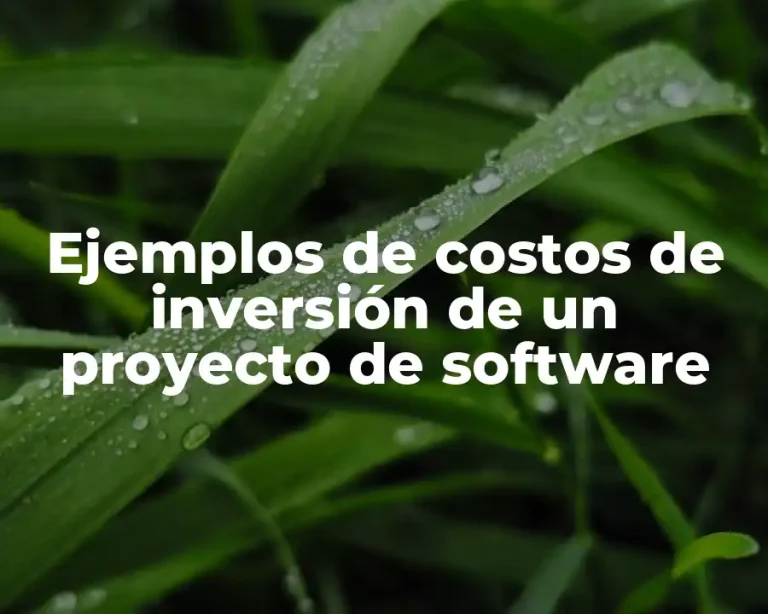 Ejemplos de costos de inversión de un proyecto de software