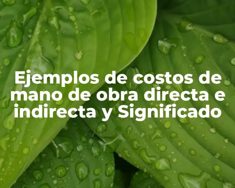 Ejemplos de costos de mano de obra directa e indirecta y Significado